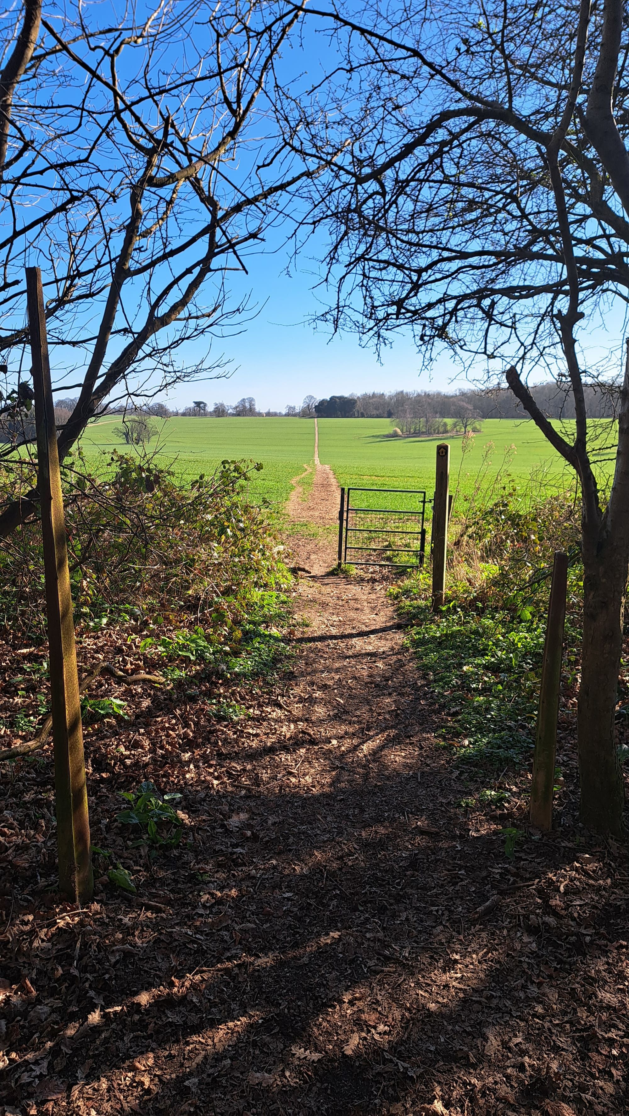 Wandelpad bij Shepherdswell, Engeland